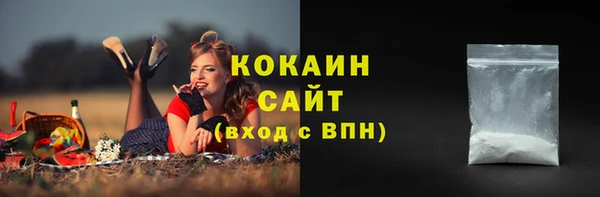 стаф Кинешма