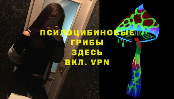 тгк Богданович