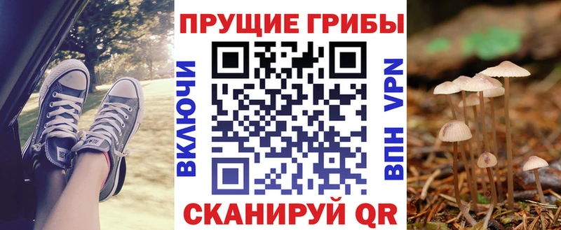 Галлюциногенные грибы прущие грибы  Благодарный 